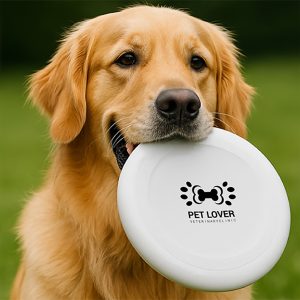 Flying Disc - 9"