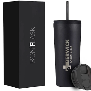 Iron Flask Classic Tumbler 2.0 24 oz